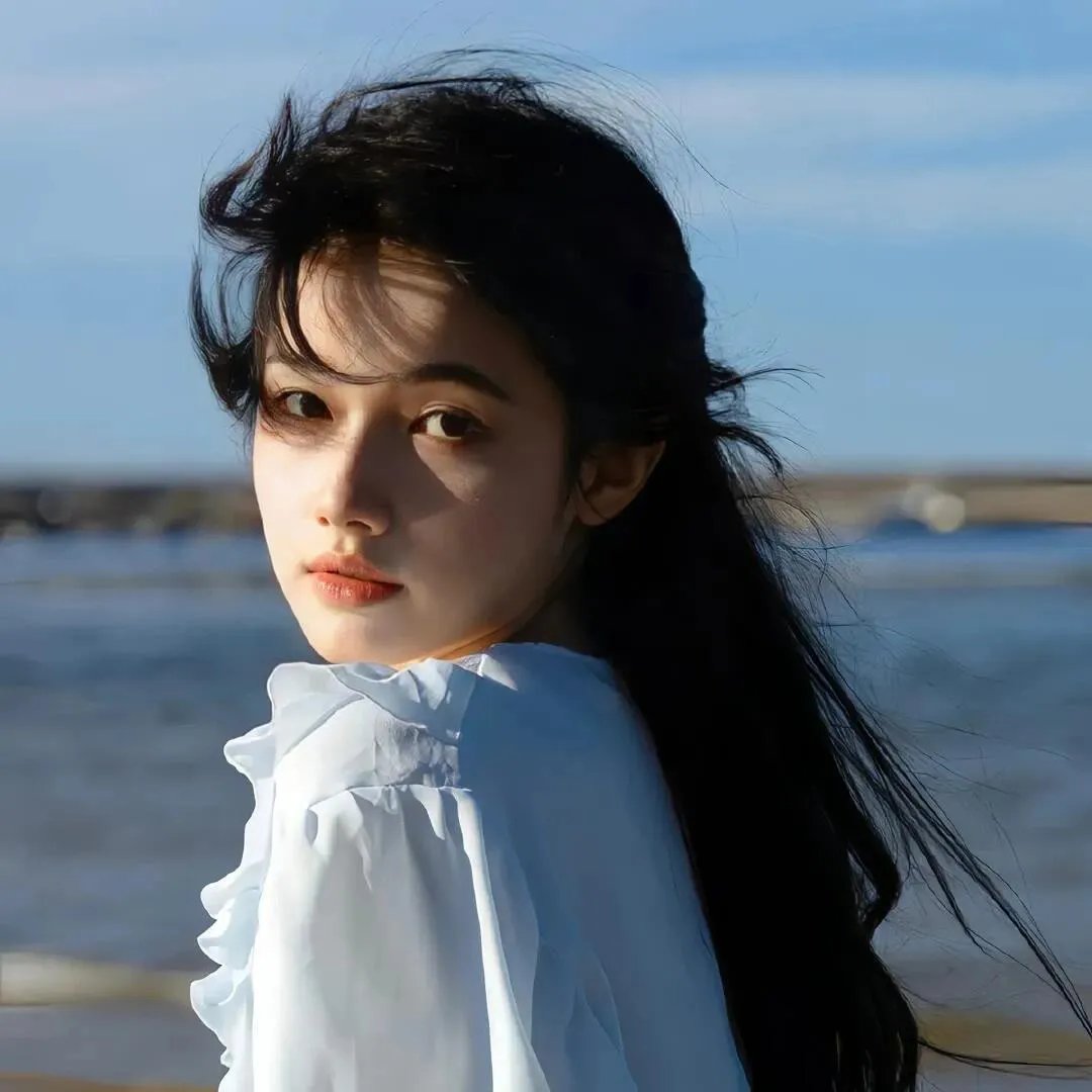 双子星大冒险国语