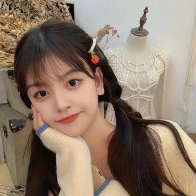 哈利·波特与凤凰社